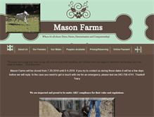 Tablet Screenshot of masonsfarms.com
